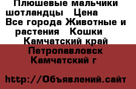 Плюшевые мальчики шотландцы › Цена ­ 500 - Все города Животные и растения » Кошки   . Камчатский край,Петропавловск-Камчатский г.